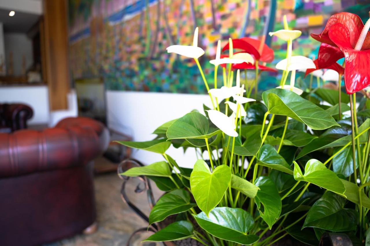 Residence Playa Tortoreto Zewnętrze zdjęcie